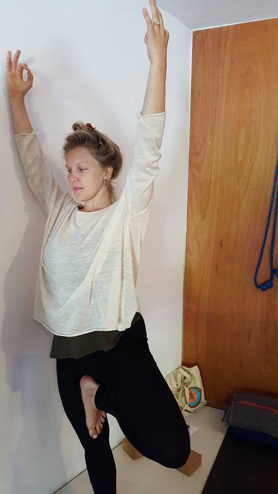 Drishti Yoga International Teacher Training 