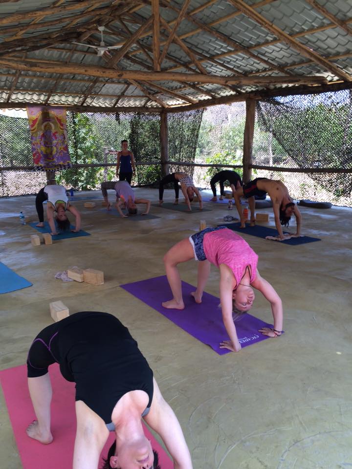 Drishti Yoga International Teacher Training New York