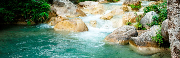  Rishikesh
