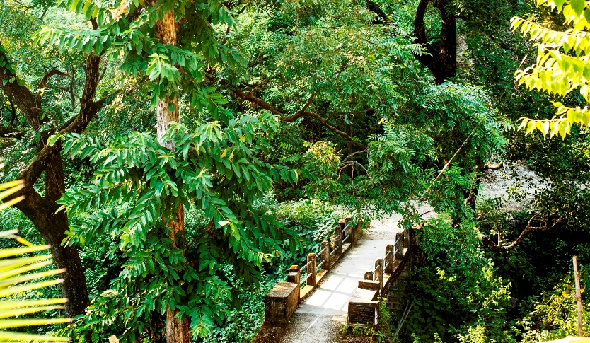 Rishikesh Valley Resort Rishikesh