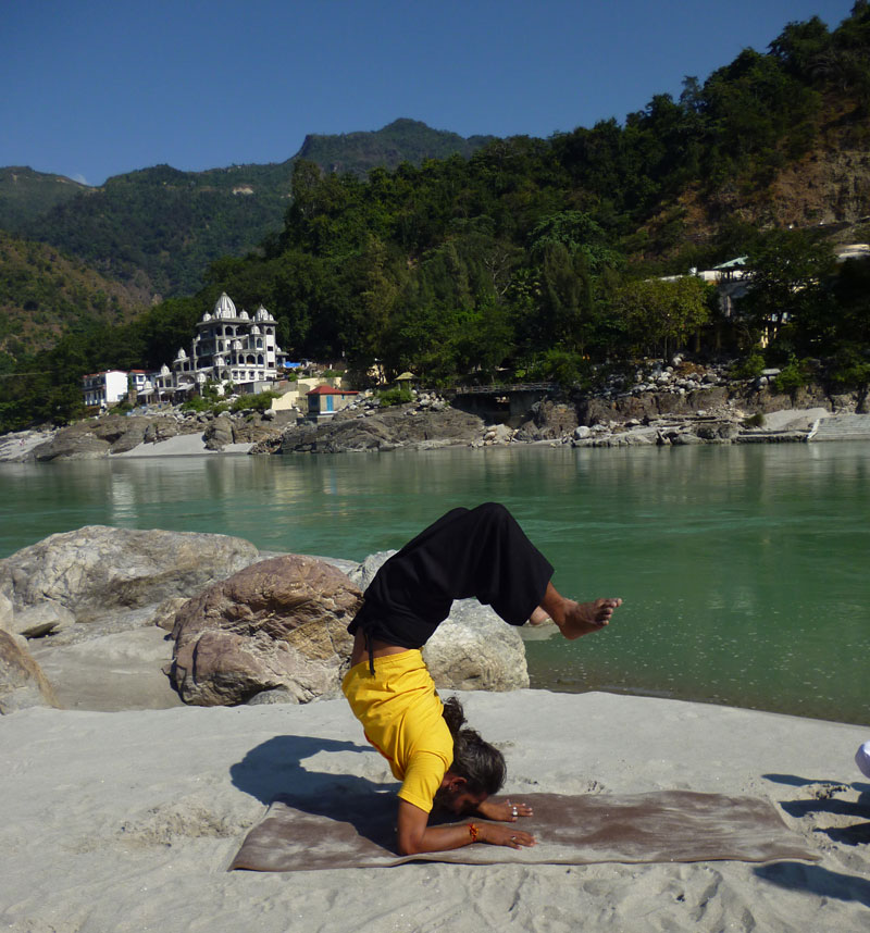 Yogafaculty 