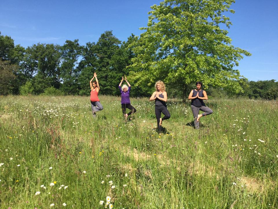 Rainbowlight Yoga Retreat Center