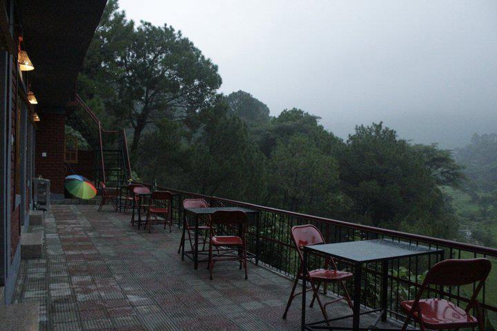  Palampur