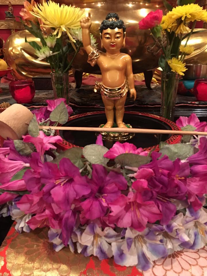 Zen Meditation Center Cloud Water Zendo 