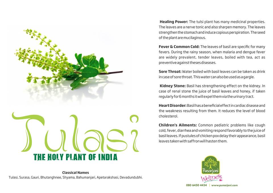 Punarjani Ayurveda Center