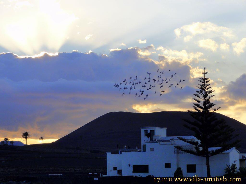  Lanzarote