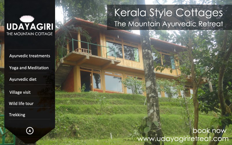 Ayurveda Yoga Villa 
