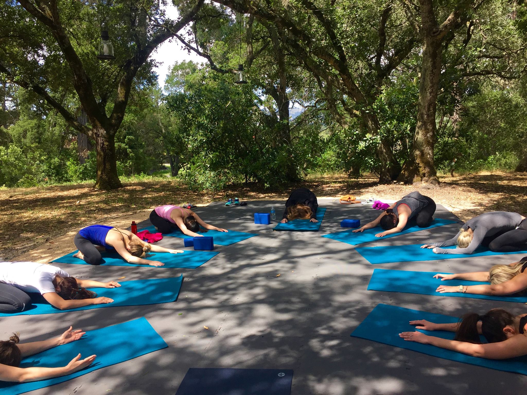 Body Flows Massage Retreat Center Roseville
