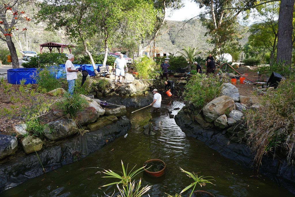  Escondido