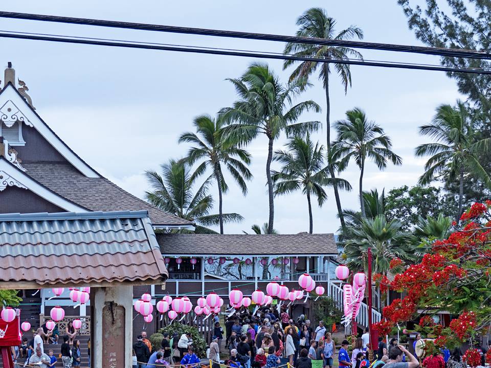  Paia