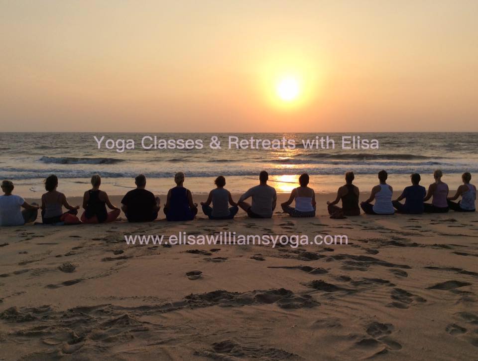 Elisa Williams Yoga Classes And Retreat