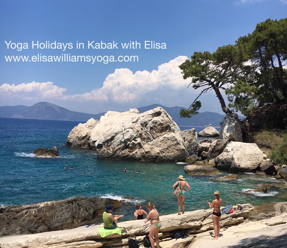 Elisa Williams Yoga Classes And Retreat London