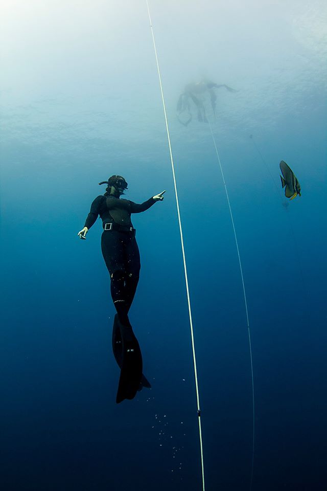 Fusion Freediving And Yoga Center Indonesia