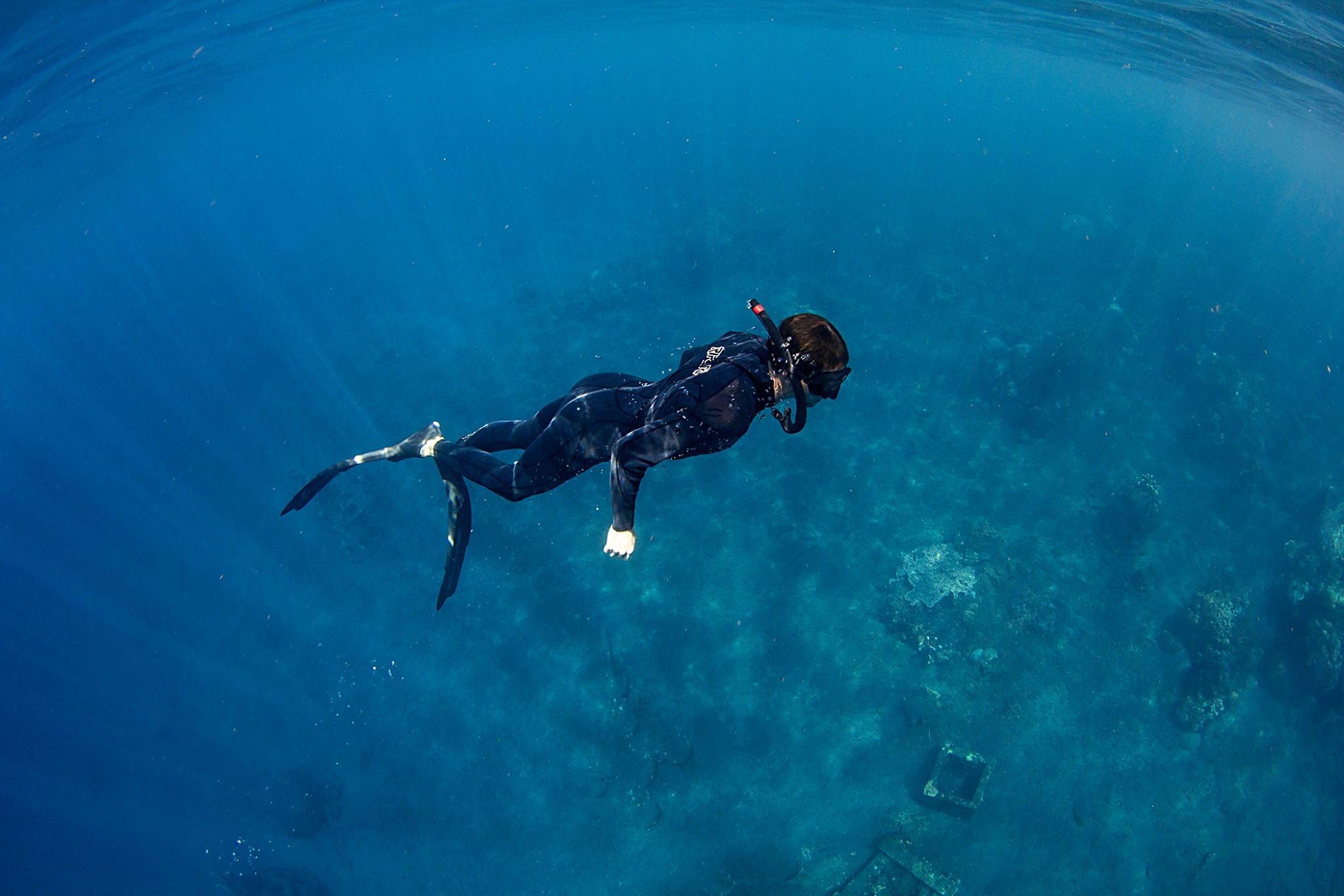 Fusion Freediving And Yoga Center 