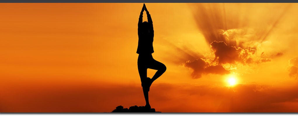 Himalayan Yoga Bliss And Wellness Center Darjeeling