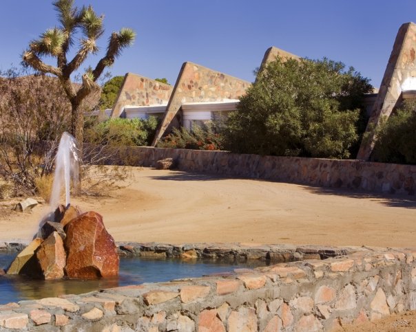 Joshua Tree