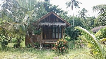 Jungle yoga Center 