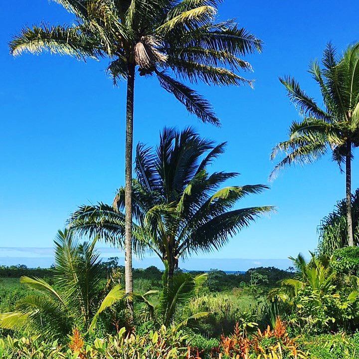 Kirpal Yoga And Meditation And Ecological Center Hawaii