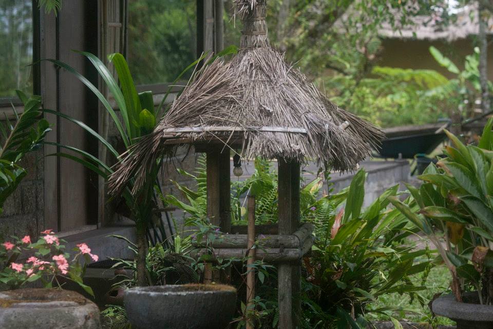  Bali