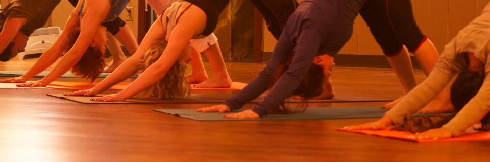 Midnight Sun Yoga Center 