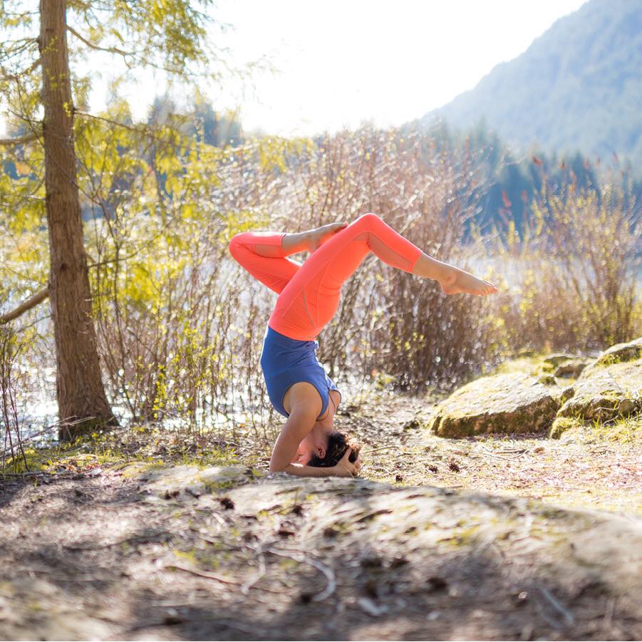 Nectar Yoga B And B Island 