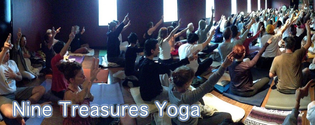 Nine Treasures Yoga Centre 