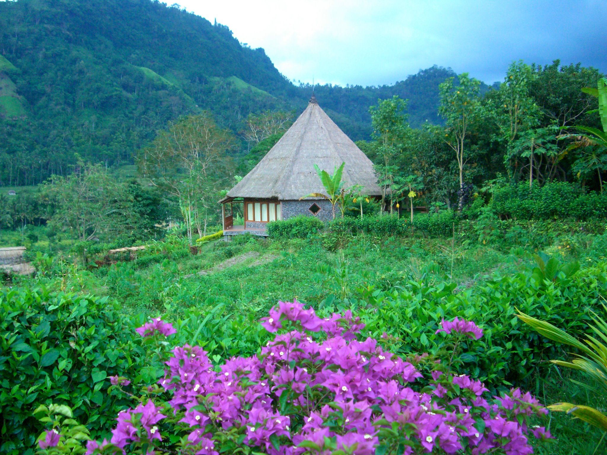  Indonesia