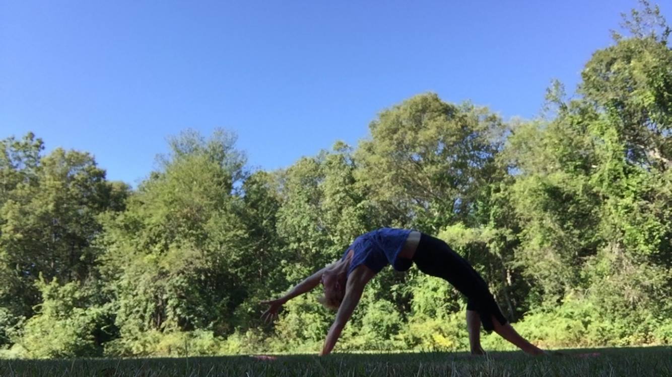 Pause Yoga Studio 