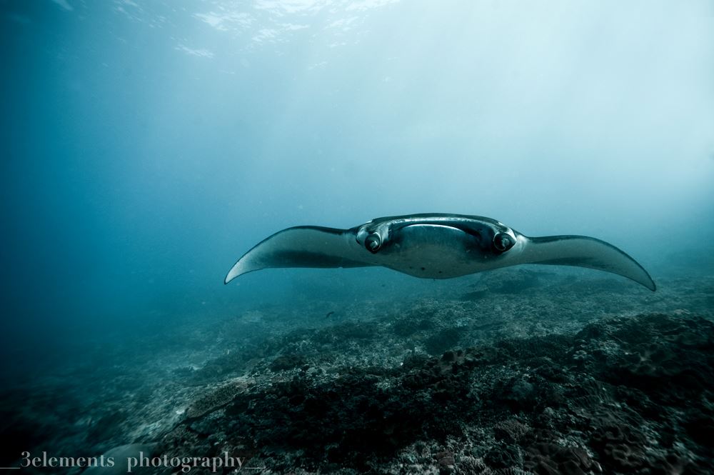 Planet Nomadas Dive Resort