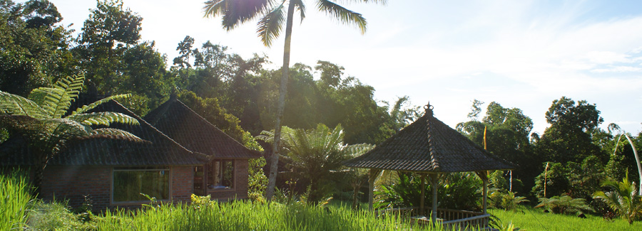  Indonesia