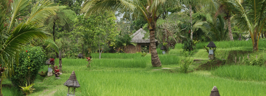  Bali