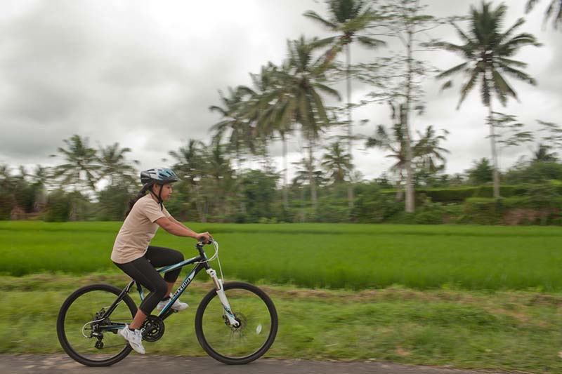  Bali