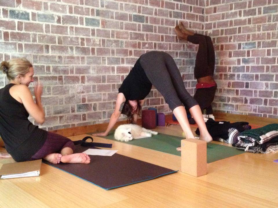 Sanctuary Yoga &amp; Wellness Center Gainesville