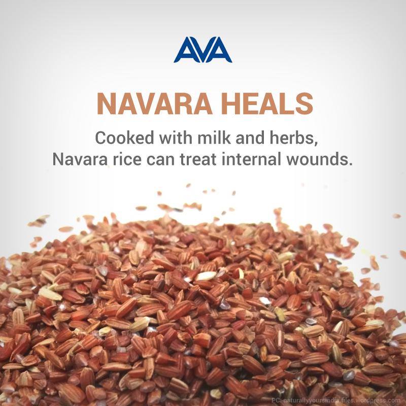 Sanjeevanam Ayurveda Therapy Center And Vegetarian Restaurant