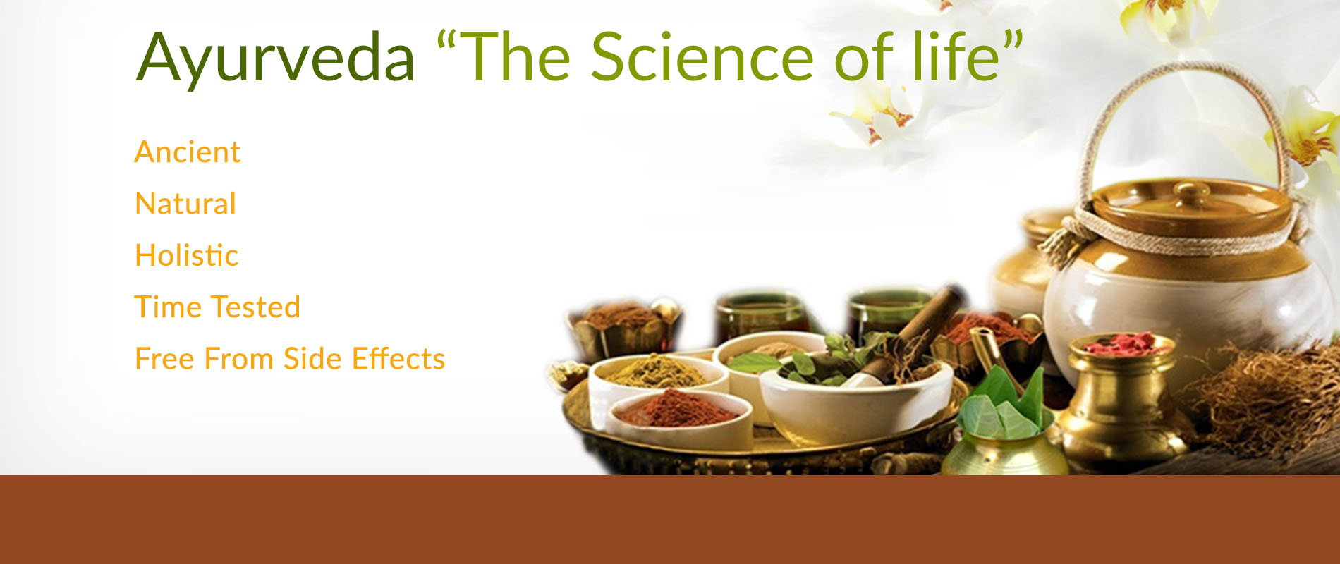 Sanjeevani Ayurvedic Treatment Center India