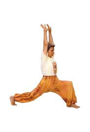 School Of Yoga Natha 