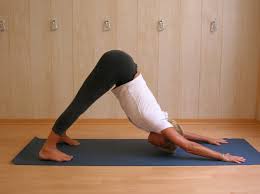 School Of Yoga Natha Aix-en-Provence