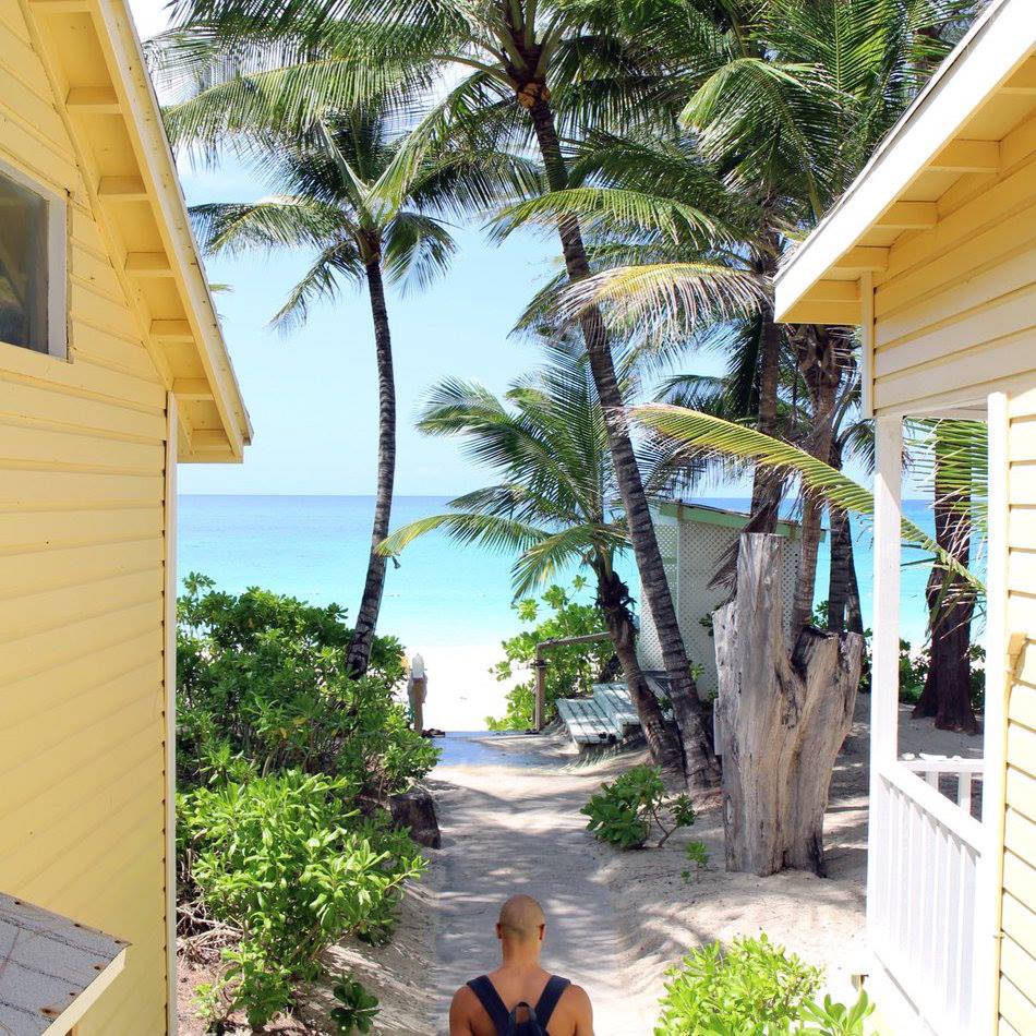 Sivananda Ashram Yoga Retreat 