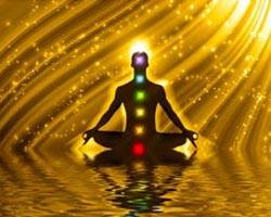 Sohyaa School Of Holistic Yoga And Ayurveda 