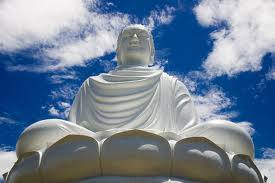Sohyaa School Of Holistic Yoga And Ayurveda India