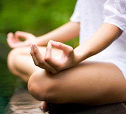 Sohyaa School Of Holistic Yoga And Ayurveda India