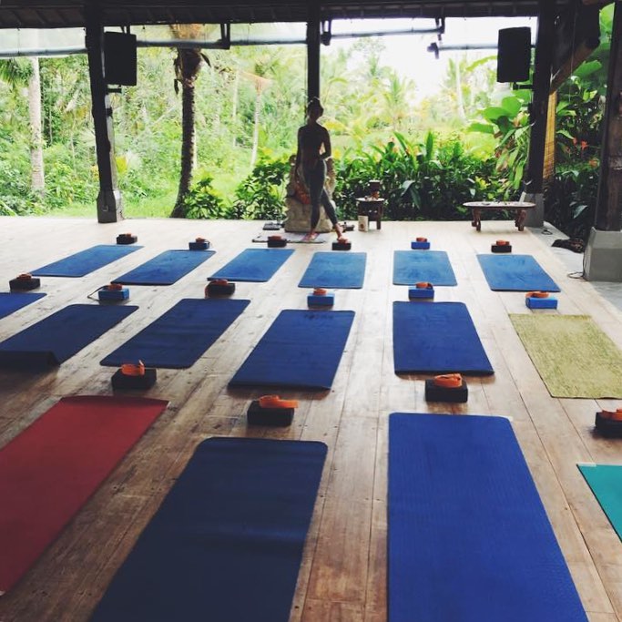 The Sacred Fig Retreat Center United States