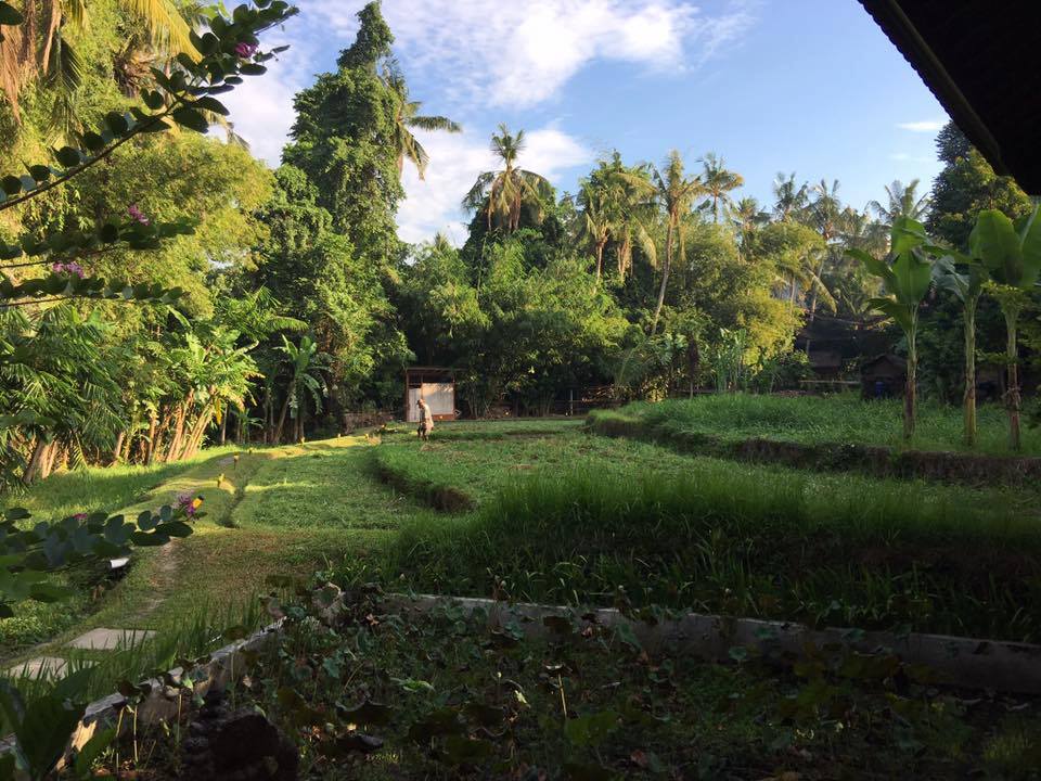  Bali