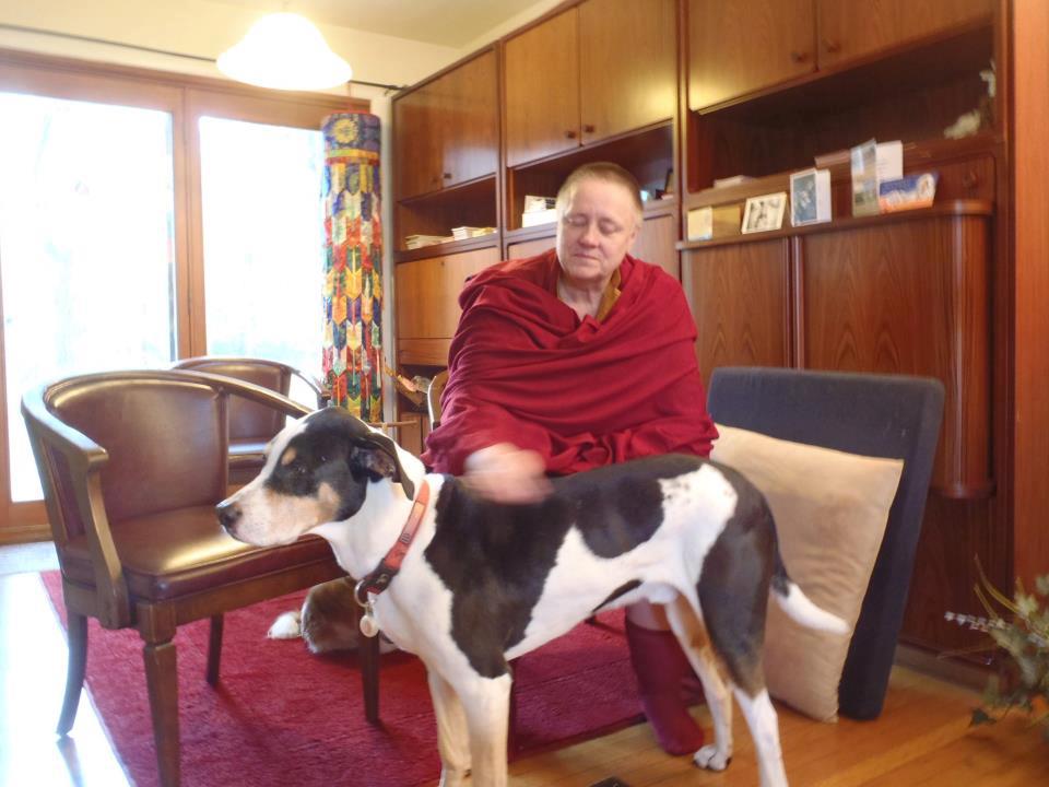 Tibetan Meditation Center Gainesville