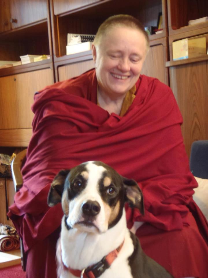 Tibetan Meditation Center Gainesville