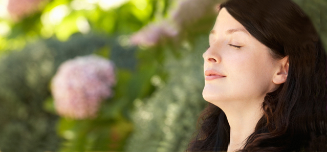Transcendental Meditation Center United States