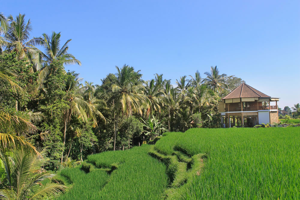 Ubud Yoga House Indonesia