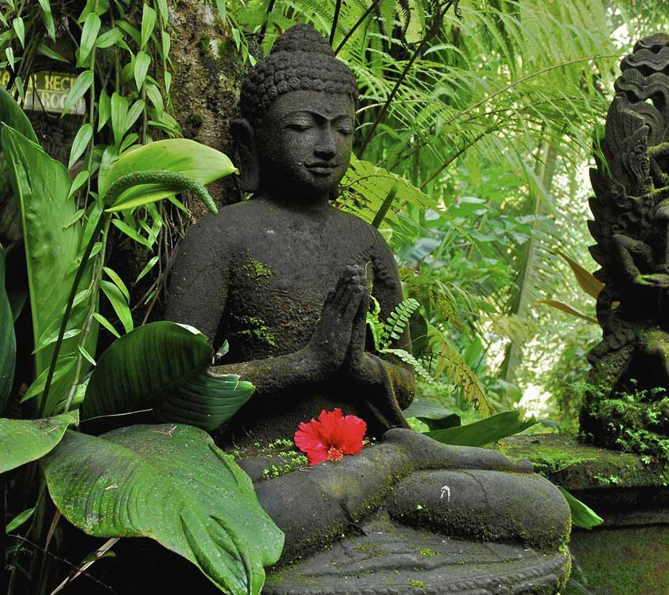 Buddhist Meditation Center
