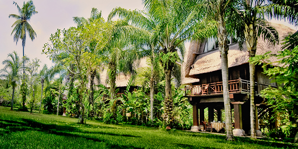  Bali