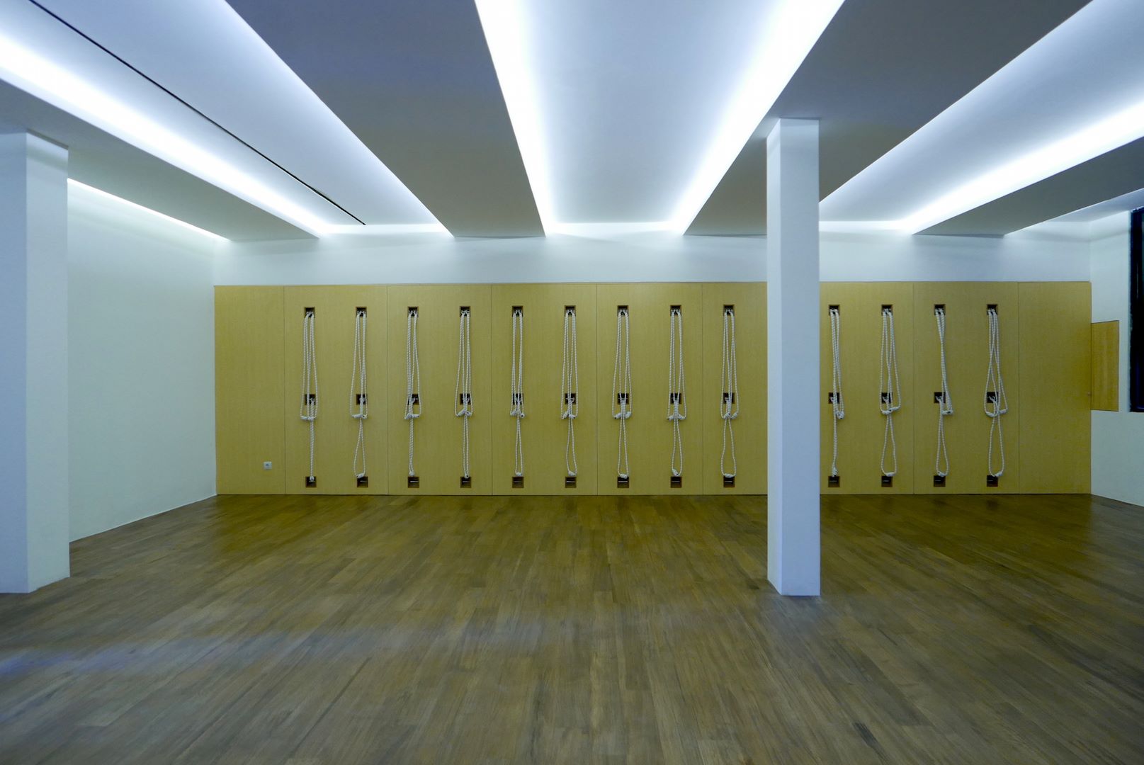 Yoga Dham Iyengar Yoga Center 